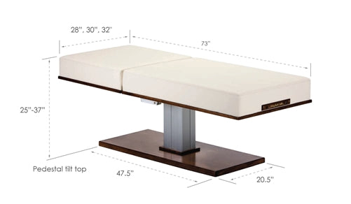 Living Earth Crafts Pedestal Manual Tilt Electric Lift Table