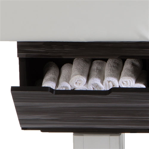 Living Earth Crafts Century Cityâ„¢ Dual-Pedestal Low-Range Treatment Table