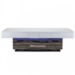 Living Earth Crafts Century Cityâ„¢ Dual-Pedestal Low-Range Treatment Table with Digital Warming Drawer
