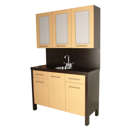 A salon color center featuring a stainless steel sink, upper storage cabinets with color cubbies, and framed upper doors, set against a two-tone background.