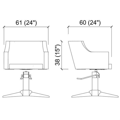Birkin Black Parrot Promo Chair Drawing