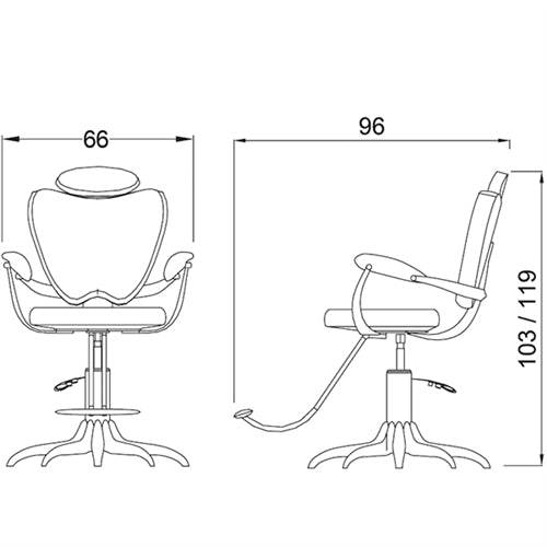 Mr Ray Barber Styling Chair Drawing