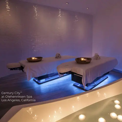 Luxury low-range massage and wellness table by Living Earth Crafts with dual pedestals